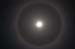 10moondog